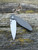 TRM ATOM™ Carbon Fibre 3D Contoured Smooth