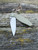 TRM ATOM™ OD Green G10 Lizard Skin