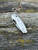 TRM BULLDOG™ REV B Titanium Lizard Skin