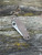 Spyderco Para Military® 2 Brown G10 CPM 15V® Sprint Run®
