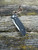 Pre-Owned Benchmade 689 Foray