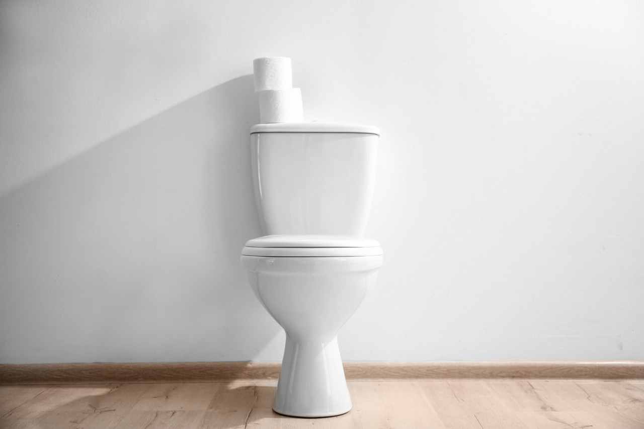 What is a Toilet Aid Blooms The Chemist Blog Blooms The Chemist