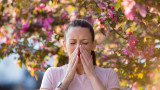 How to handle your allergies year-round