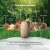 Caruso's 8 Mushrooms Complex 60 Capsules