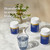 BioCeuticals Men's Essentials  240 Capsules