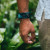 Parakito Mosquito Protection Wrist Band Explorer 1 band