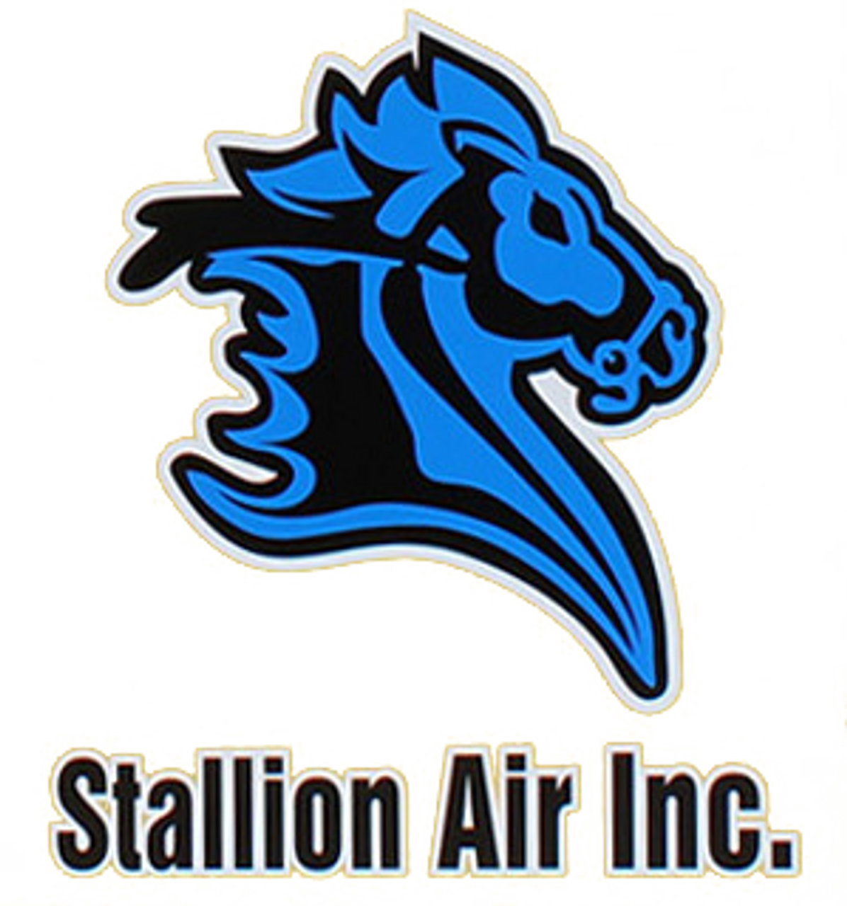 Stallion Air Inc.