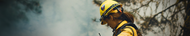 Wildland Helmets
