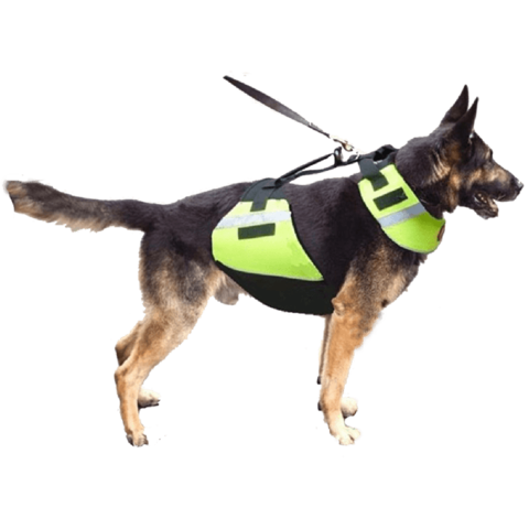 Firstwatch K9 Float Vest, HiVis Yellow