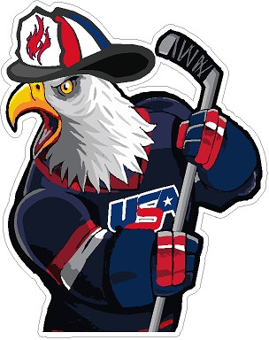 EEG Hockey Eagle with USA Helmet Flame, Reflective Decal