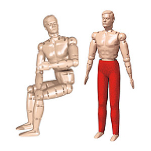 Simulaids Rescue Randy 9000 with Range of Motion in Joints