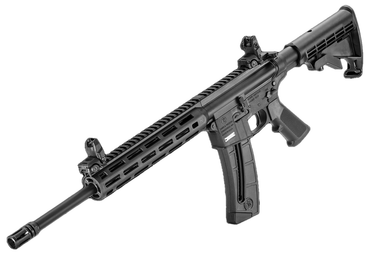 Smith & Wesson M&P 15-22 Sport, 22 LR , (1) 25rd