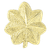 Blackinton Embossed Major Leaf Pin