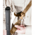 BlackHawk Storm Single Point Sling XT