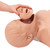 Simulaids Brad CPR Manikins