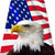 EEG Reflective Tetrahedron, Waving US Flag background with eagle head