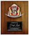 W-TTI-HELMETPLAQUE_media-27