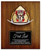 W-TTI-HELMETPLAQUE_media-30