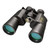 Bushnell Legacy Binoculars 10-22 x 50 Zoom
