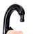 Omega Pacific Tactical Oval Straightgate Black Carabiner with TheFireStore Logo