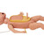 Simulaids Complete Infant CRiSis Manikin
