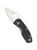 Spyderco Ambitious Folding Knife, Plain Edge