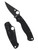 Spyderco Para Military 2 Knife, G-10 Black Handle, Black Blade