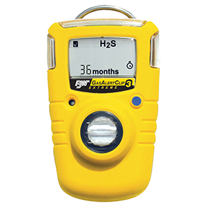 Gas Meters