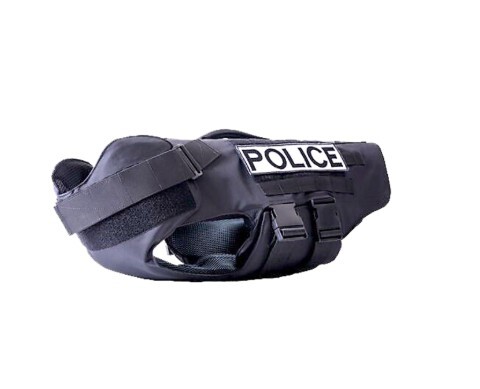 K9 Gear