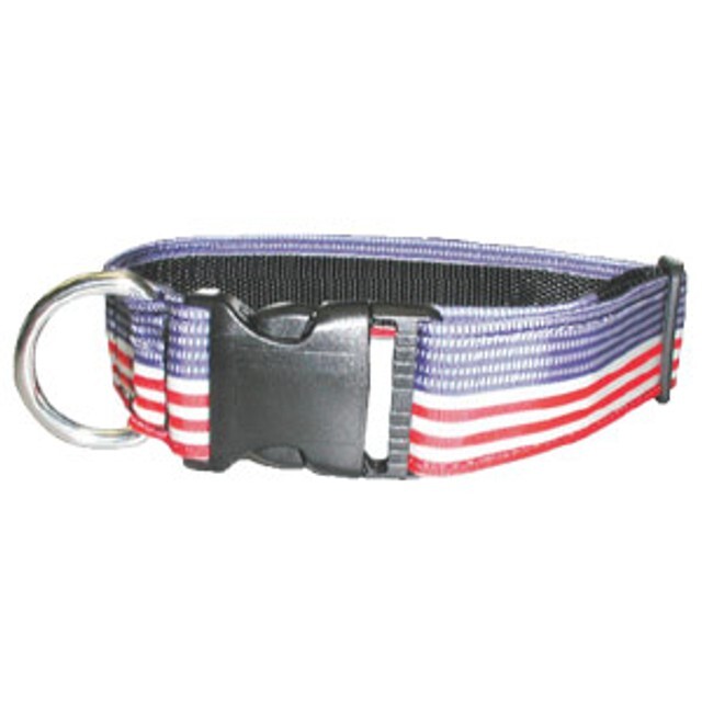 K9 Gear