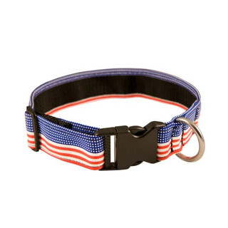 K9 Gear