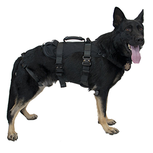 K9 Equipment