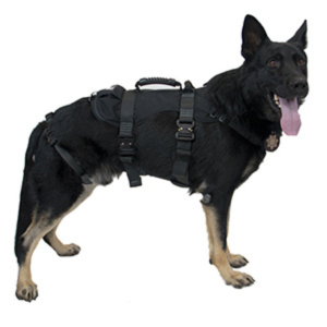 K9 Gear