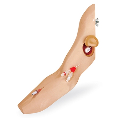 Simulaids Chester Chest Advanced Arm