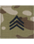 US Army OCP Velcro Rank Patch - Sergeant E-5 (SGT)