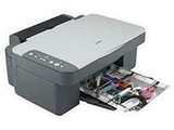 Epson Stylus D3850