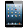 Apple iPad Mini 16GB WiFi - Black 7.9" (BrownBox)