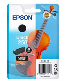 Epson 250 C13T16N14010 Genuine Black Ink Cartridge