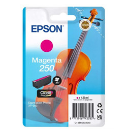 Epson 250 C13T16N34010 Genuine Magenta Ink Cartridge