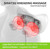 iKristin Shiatsu Neck and Back 6 Ball Massage Pillow with Heat