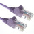 Connekt Gear 2.0m RJ45 to RJ45 UTP CAT 5e stranded network cable [PURPLE]