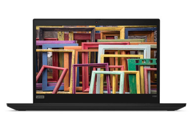 Lenovo ThinkPad X395 13.3
