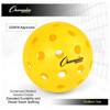 Champion Injection Molded Outdoor Pickleball 6 Ball Set