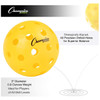 Champion Injection Molded Outdoor Pickleball 6 Ball Set