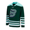 Boston Fleet PWHL Licensed Adult Hockey Jersey