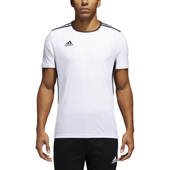 adidas entrada 14 jersey