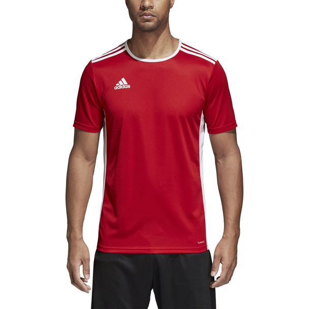 adidas entrada jersey