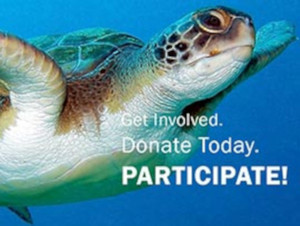 Donations