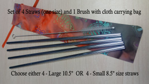 Reusable Straws and Brush Set