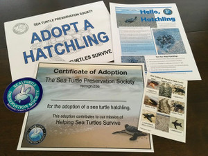 Adopt A Hatchling DIGITAL DOWNLOAD